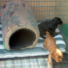 wir brauchen mehr Verstecke