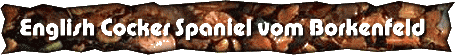 borkenfeld.de