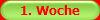 1. Woche