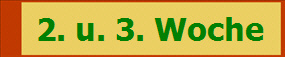 2. u. 3. Woche