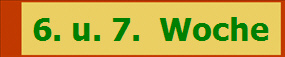 6. u. 7.  Woche