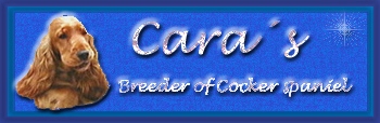 www.caras-cocker.de